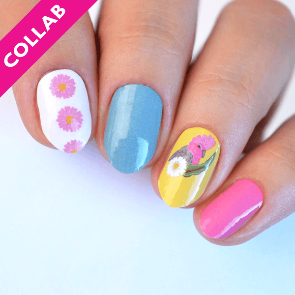 Galah | Teggun Ashleigh Collab Nail Polish Wrap