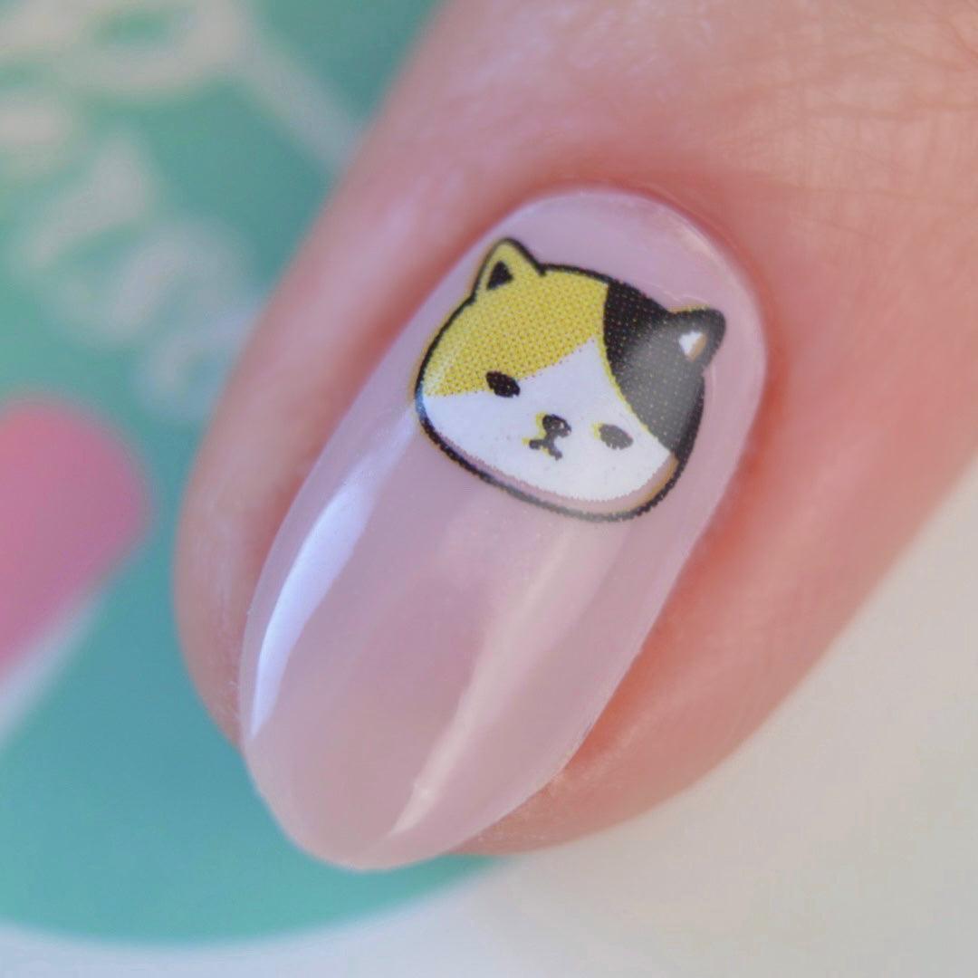 Cat (Transparent) - Personail