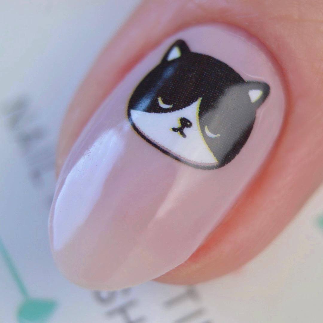 Cat (Transparent) - Personail