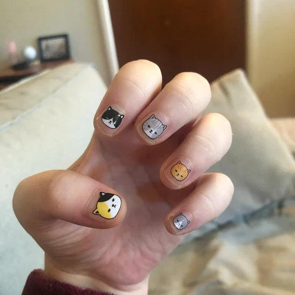 Cat (Transparent) - Personail