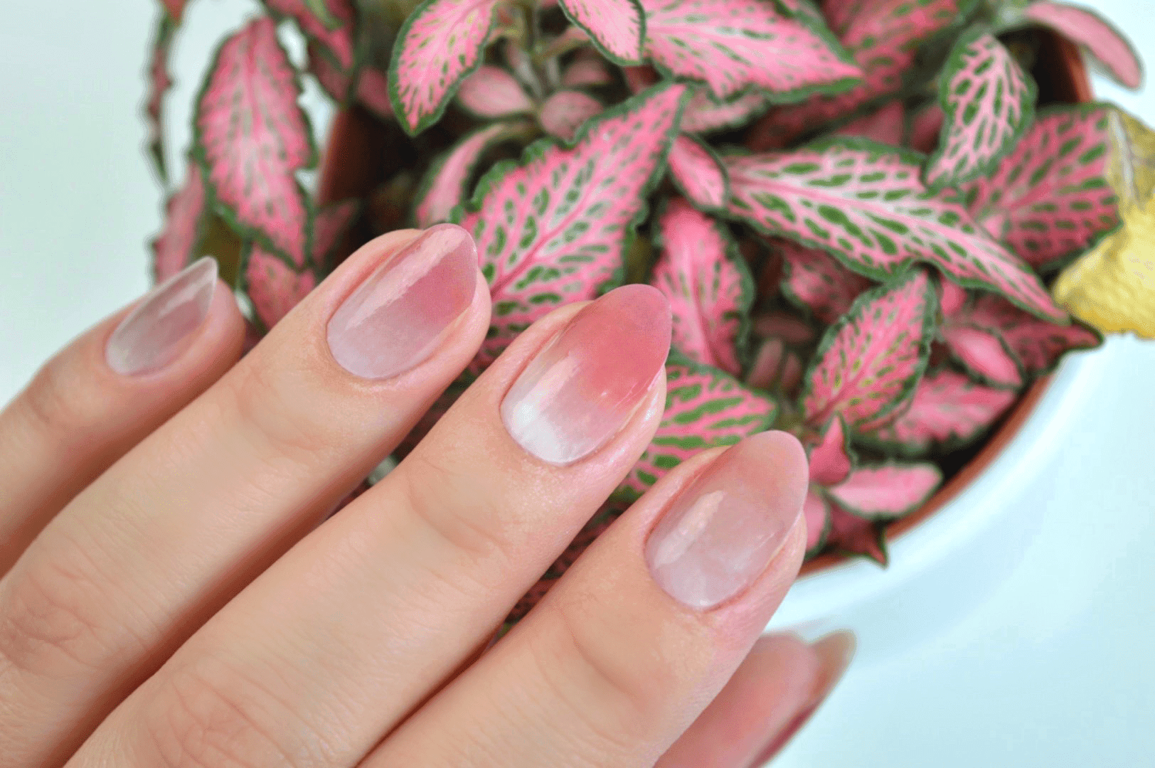 Personail Nail Wraps Eva