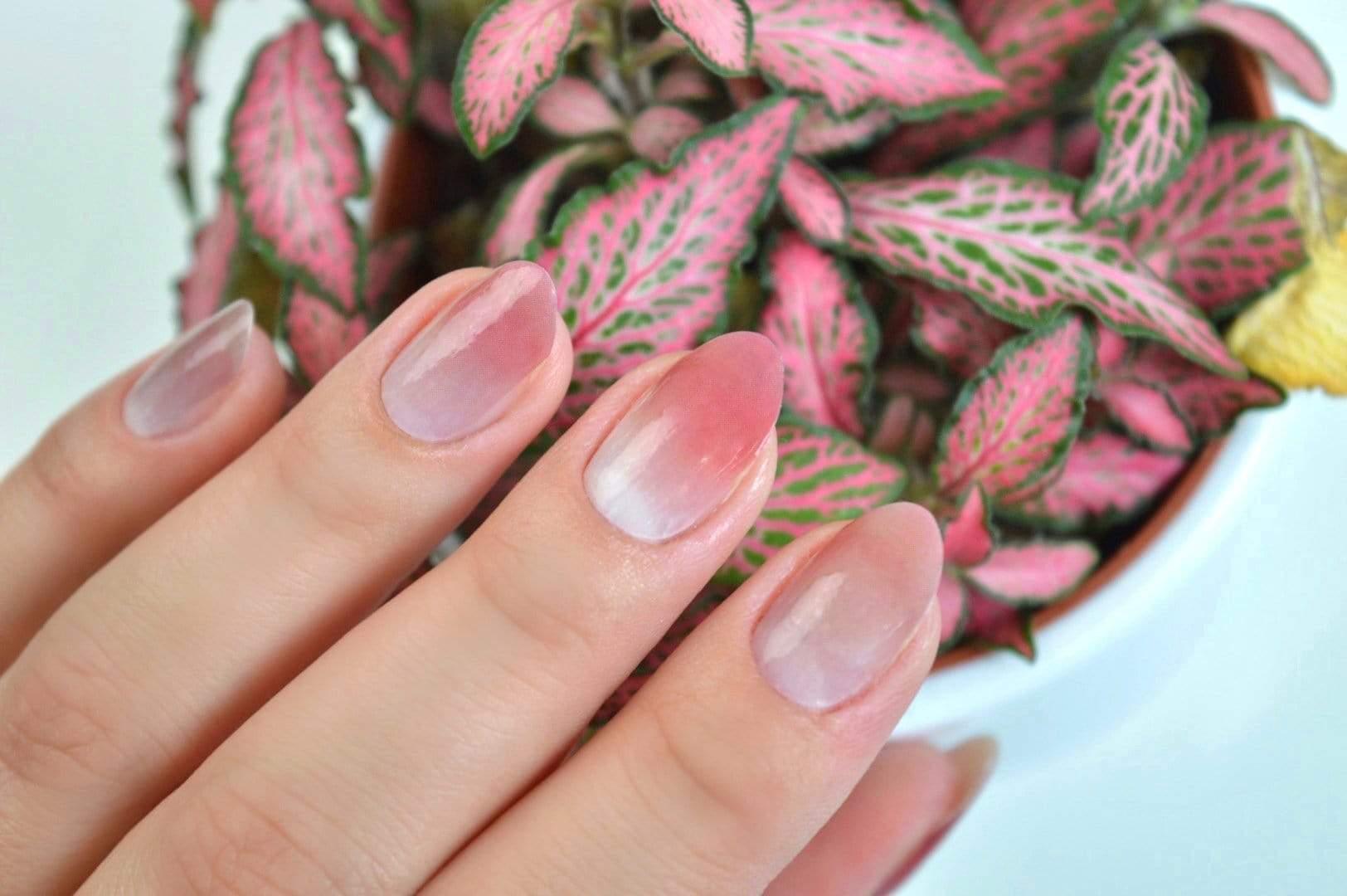 Personail Nail Wraps Eva