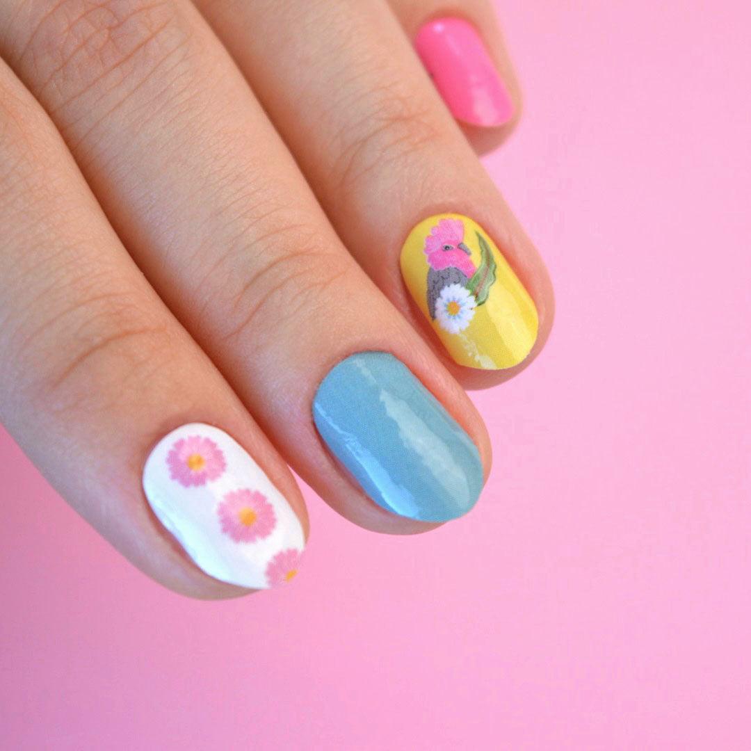 Galah | Teggun Ashleigh Collab Nail Polish Wrap