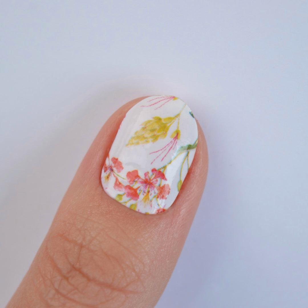 Garden Party | Floral Australian Natives Nail Polish Wrap