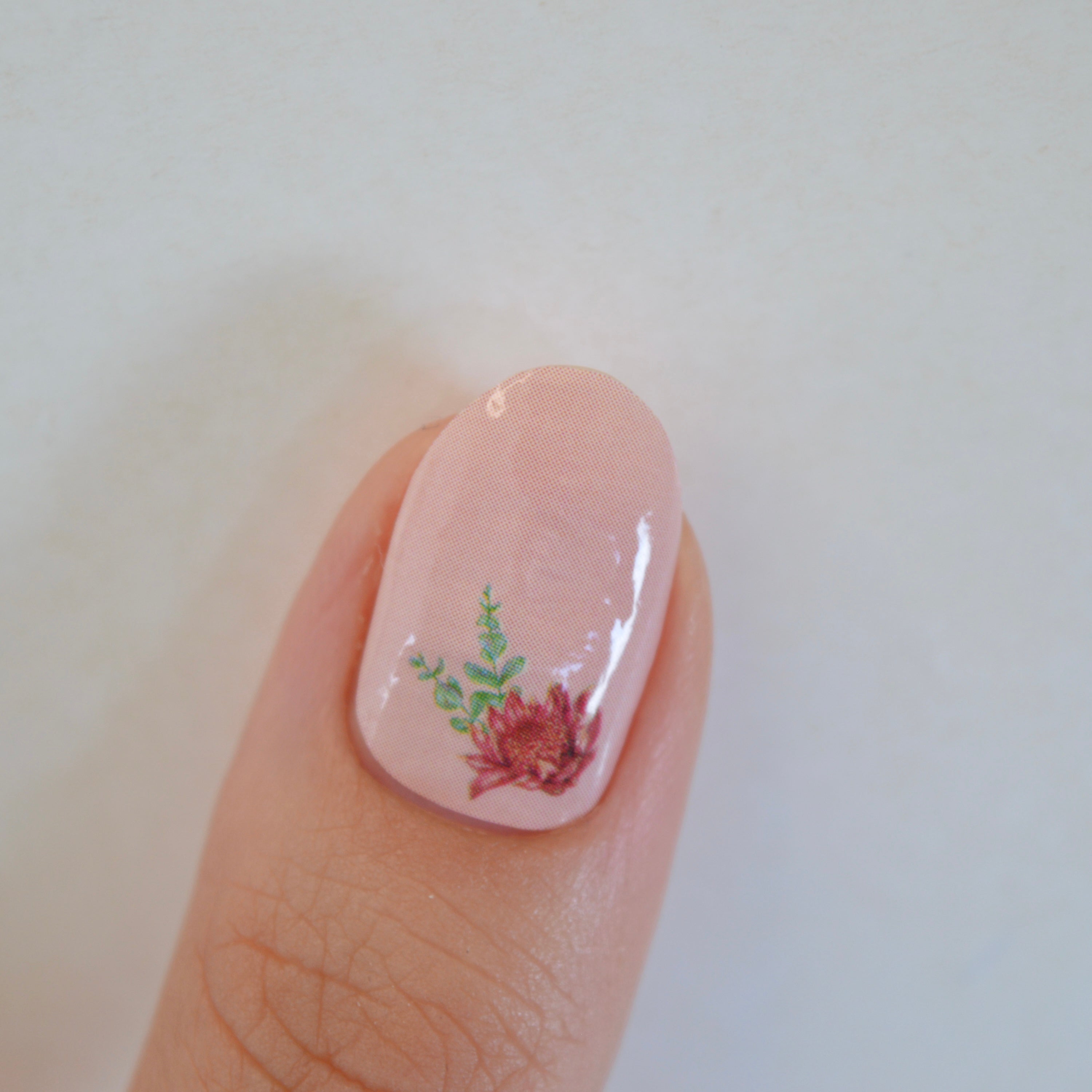 Birdies | Kayla Reay Collab Nail Polish Wrap