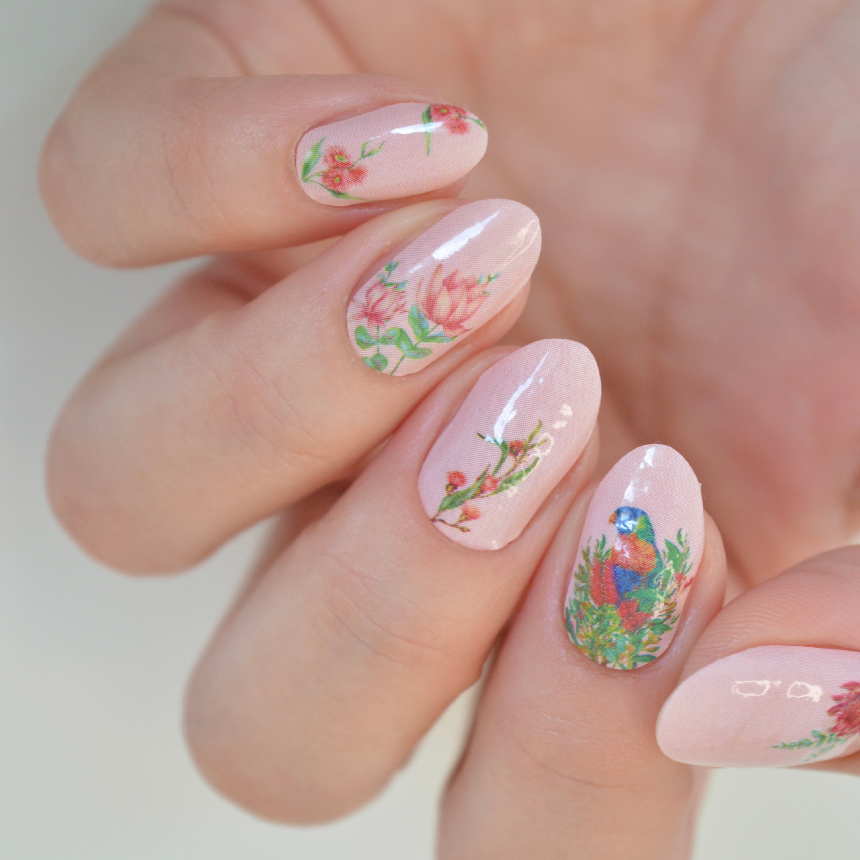 Birdies | Kayla Reay Collab Nail Polish Wrap