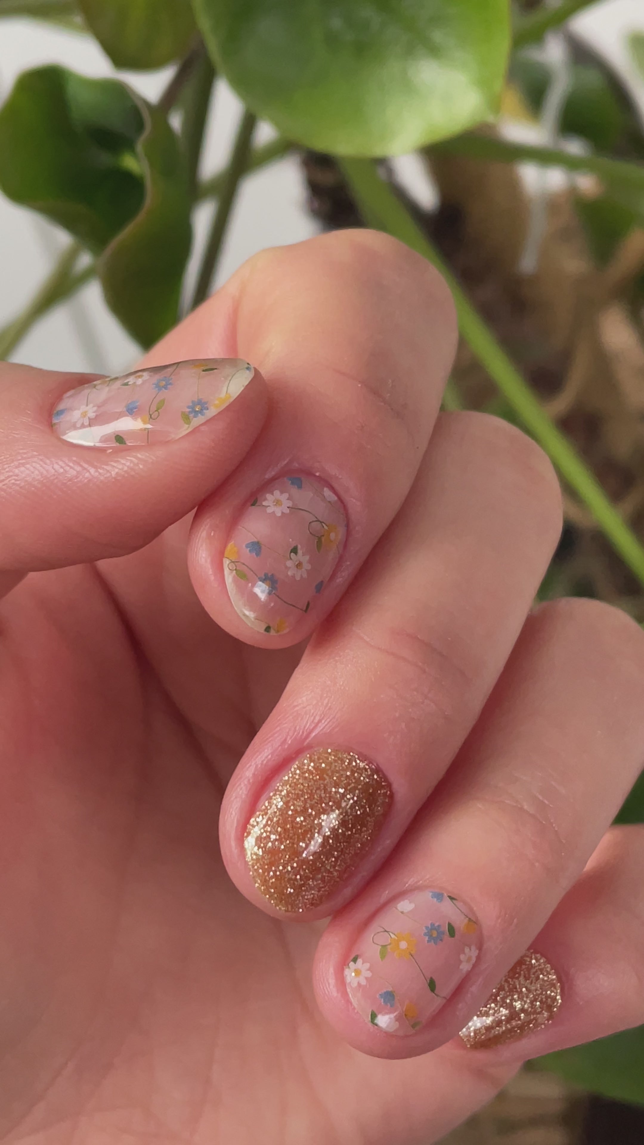 Farm | Jellies DIY Soft Semi Cured Gel Nail Wraps