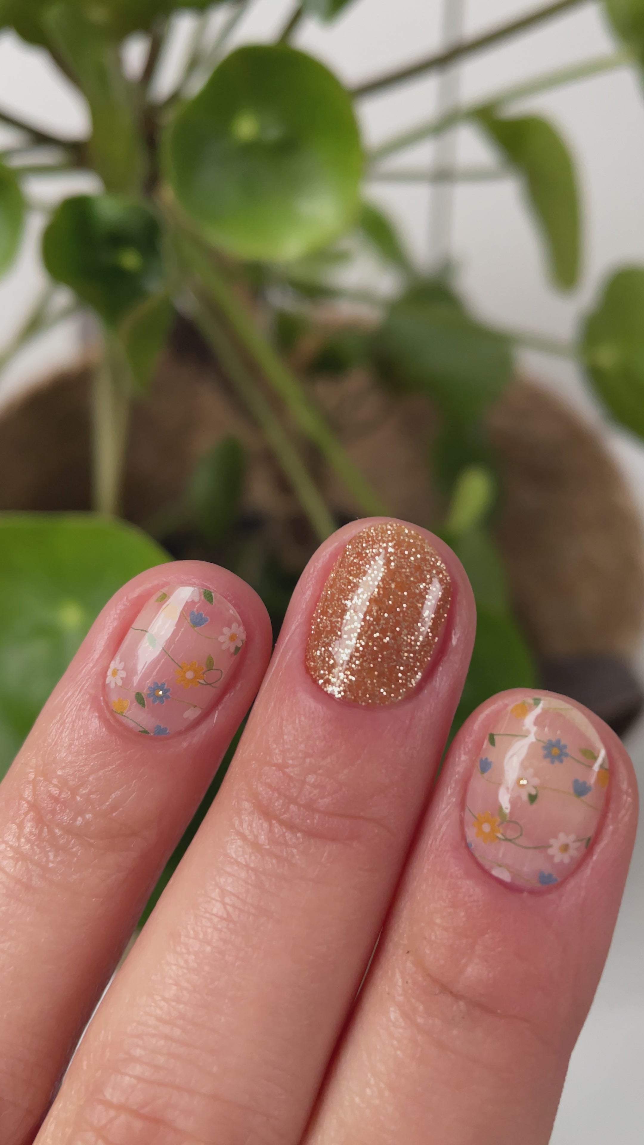 Farm | Jellies DIY Soft Semi Cured Gel Nail Wraps