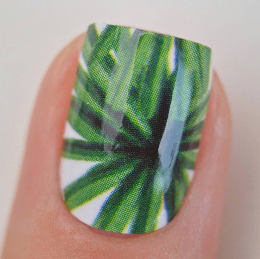 Personail Nail Wraps Tropicana